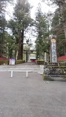鮒244のTikTok投稿