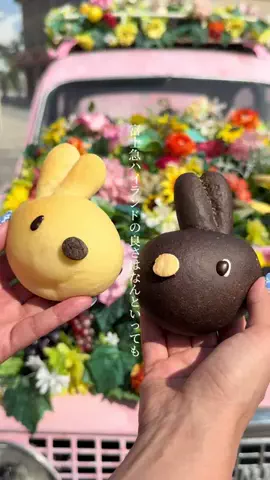 はち もぐのTikTok投稿