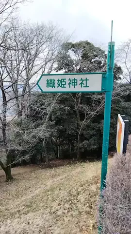 鮒244のTikTok投稿
