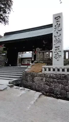 鮒244のTikTok投稿