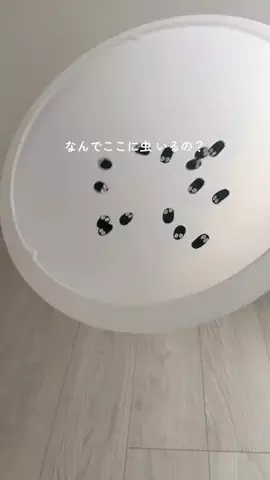 つなな | がんばらない暮らしの工夫のTikTok投稿