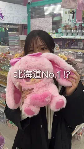 サツナビ｜北海道・札幌の魅力発信のTikTok投稿