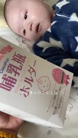 ふうちゃんのTikTok投稿