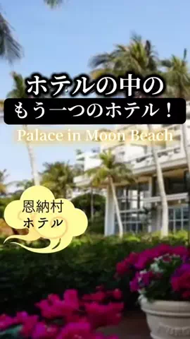zuenmeiのTikTok投稿