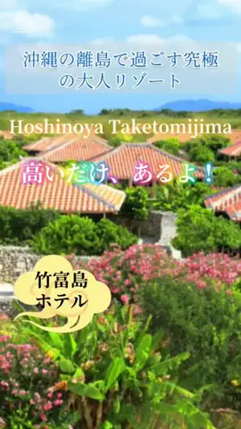 zuenmeiのTikTok投稿