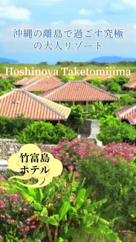 zuenmeiのTikTok投稿