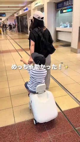 さやぴい⌇整えるごはんと暮らしのTikTok投稿