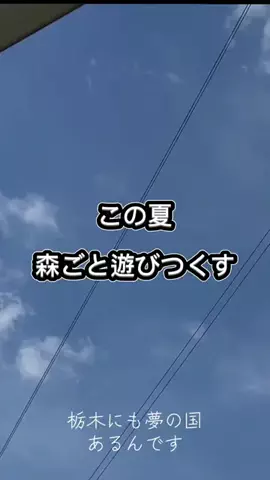 茨城と栃木の県境に住んでいますのTikTok投稿