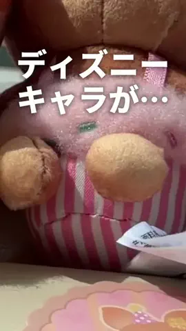 アミノ家のTikTok投稿