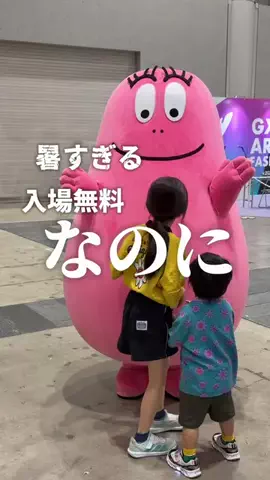 アミノ家のTikTok投稿