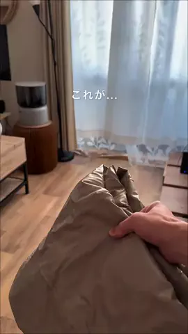 はっしー|ナチュラルモダンと簡単DIYのTikTok投稿