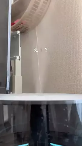はっしー|ナチュラルモダンと簡単DIYのTikTok投稿