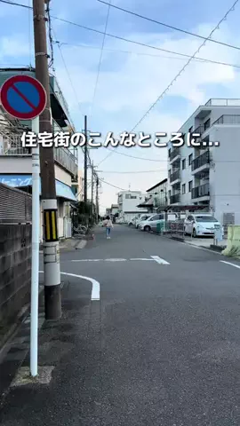みける|神奈川発のおでかけカップルのTikTok投稿