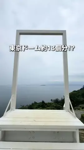 みける|神奈川発のおでかけカップルのTikTok投稿