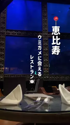 はるか꒰HARUKA ꒱ゴルフ×美容×旅⛳️✈️のTikTok投稿