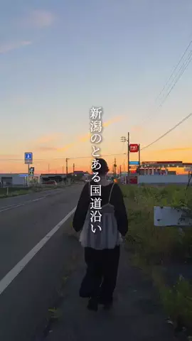 がたうぉーかー【新潟グルメ/スポット】のTikTok投稿
