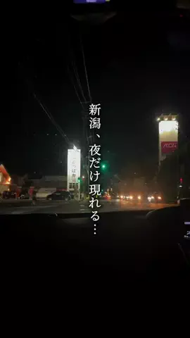 がたうぉーかー【新潟グルメ/スポット】のTikTok投稿