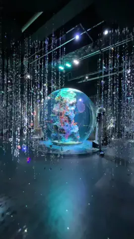 Naoka￤神戸グルメ 𓌉◯𓇋のTikTok投稿