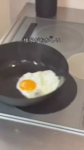 のっちのTikTok投稿