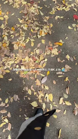 ふうかのTikTok投稿