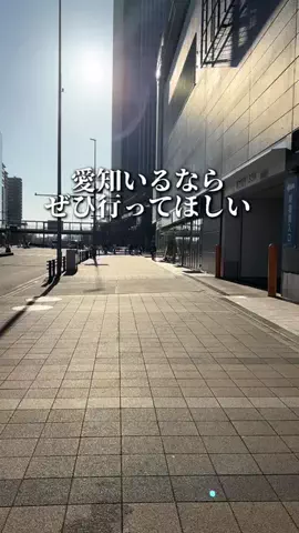 のん | 愛知グルメ・おでかけのTikTok投稿