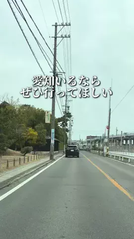 のん | 愛知グルメ・おでかけのTikTok投稿