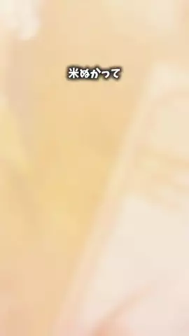 焼きビーフンのTikTok投稿