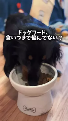 焼きビーフンのTikTok投稿