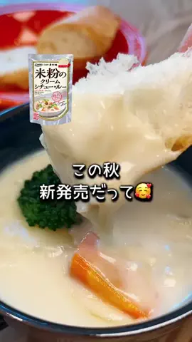 FumiUmiのTikTok投稿
