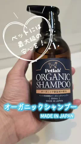 あもぱぱのTikTok投稿