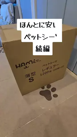 あもぱぱのTikTok投稿