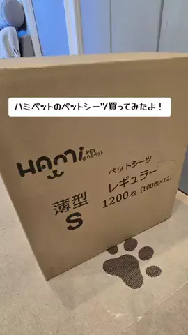 あもぱぱのTikTok投稿