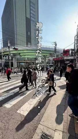 神戸グルメまひろのTikTok投稿