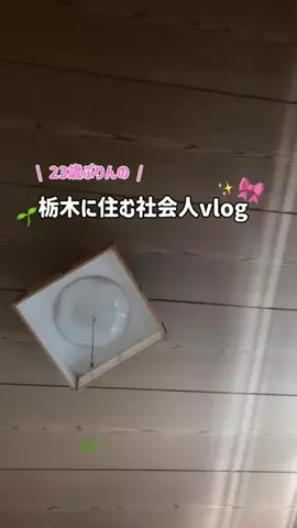 ぷりんのTikTok投稿