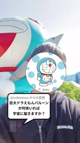 だいちゃんねるのTikTok投稿