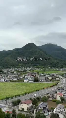 長野グルメ／NAGANO SELECTのTikTok投稿
