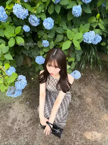 maikaのTikTok PR投稿：📍明月院(あじさい寺) 鎌倉市山ノ内189 北鎌倉駅から🐾10…