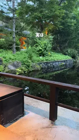 コスパ旅@コスパ良くオシャレに旅行✈️のTikTok投稿