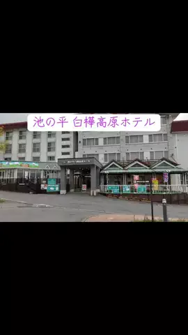 1分の真実のTikTok投稿