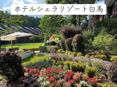 1分の真実のTikTok投稿