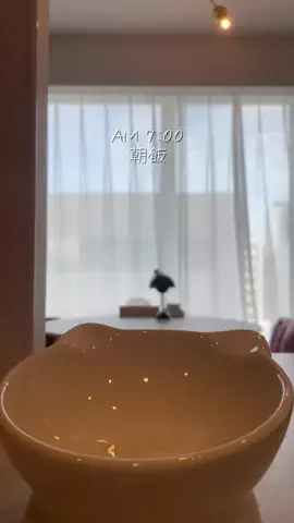 ぺらのモフモフ革命のTikTok投稿