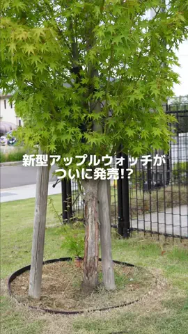 カズシム｜iPhone設定術のTikTok投稿
