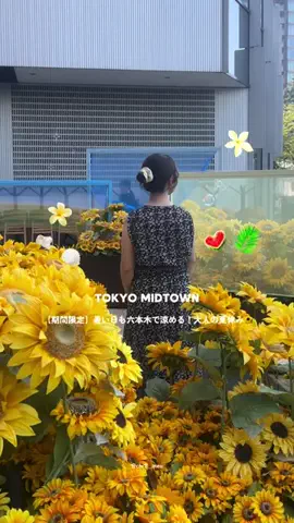ちーのおでかけのTikTok投稿
