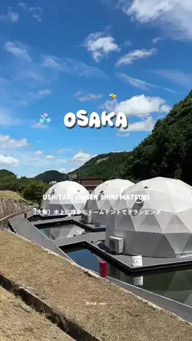 ちーのおでかけのTikTok投稿