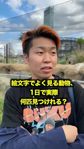 イエローブラザーズのTikTok投稿