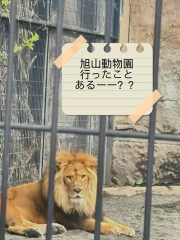 ★さったん★のTikTok投稿