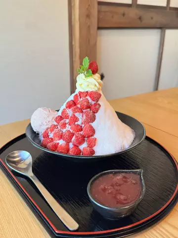 さがおいしいのTikTok投稿