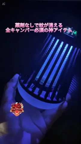 あんこのTikTok投稿