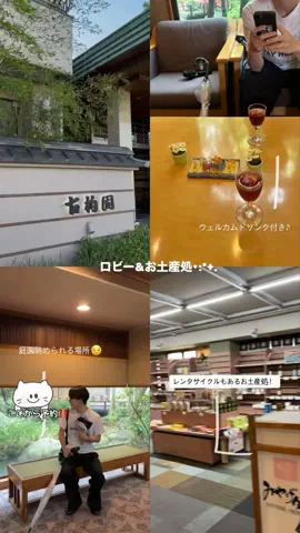 🐰のTikTok投稿