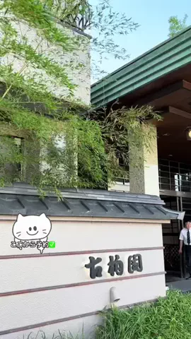 🐰のTikTok投稿